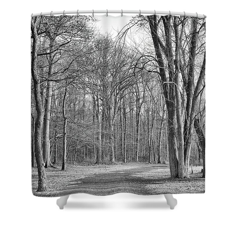 Autumn Shower Curtain featuring the photograph North Bay Way by Rod Best