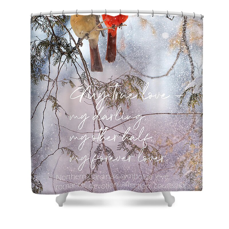 Love Shower Curtain featuring the photograph Northern Cardinal Love Story by Sandra Rust