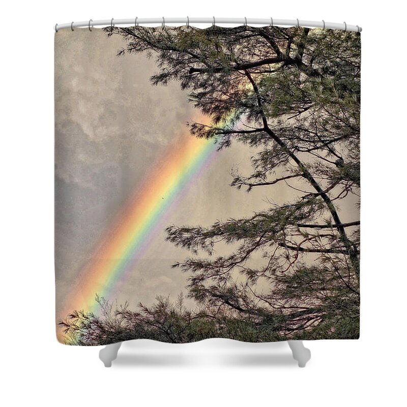 Rainbow Shower Curtain featuring the photograph Northern Forest Rainbow by Russ Considine