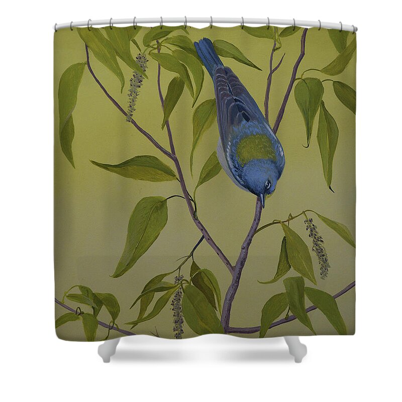 Warbler Shower Curtain featuring the painting Northern Parula by Charles Owens