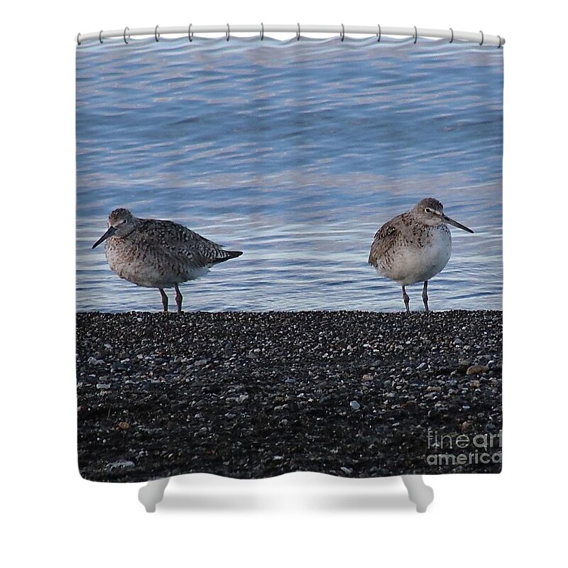 Long-billed Dowitcher Shower Curtain featuring the photograph Not talking to you by Yvonne M Smith