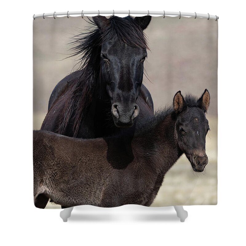 Wild Horses Shower Curtain featuring the photograph Nurture and Protect by Mary Hone