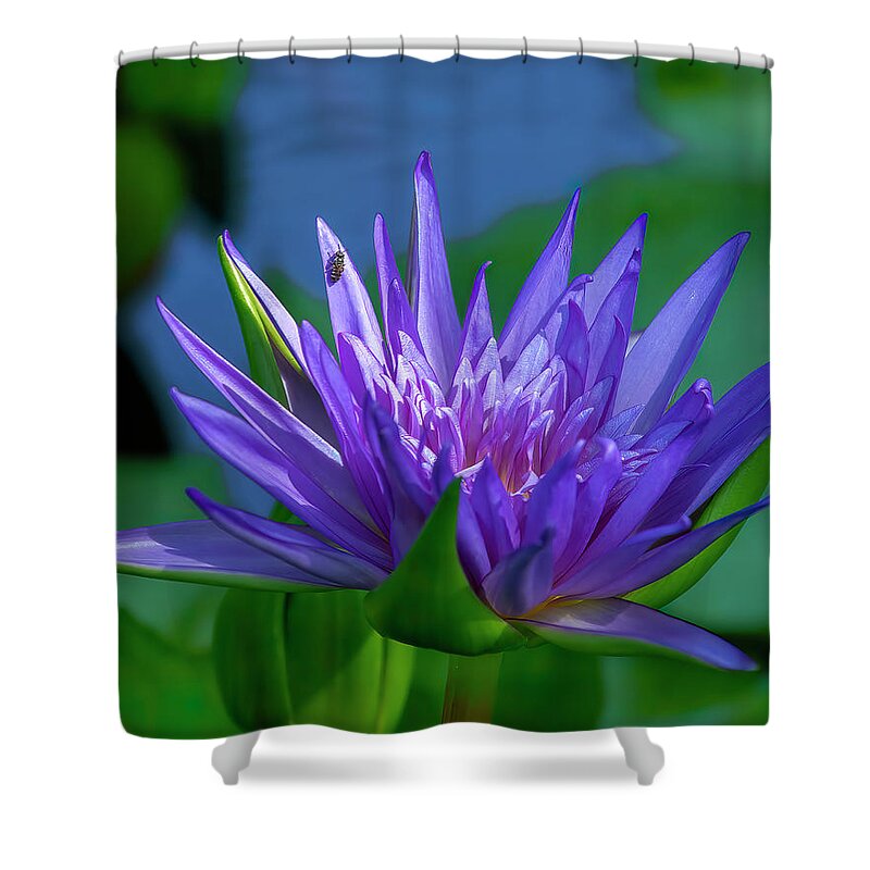 Nature Shower Curtain featuring the photograph Nymphaea Water Lily DTHN0316 by Gerry Gantt