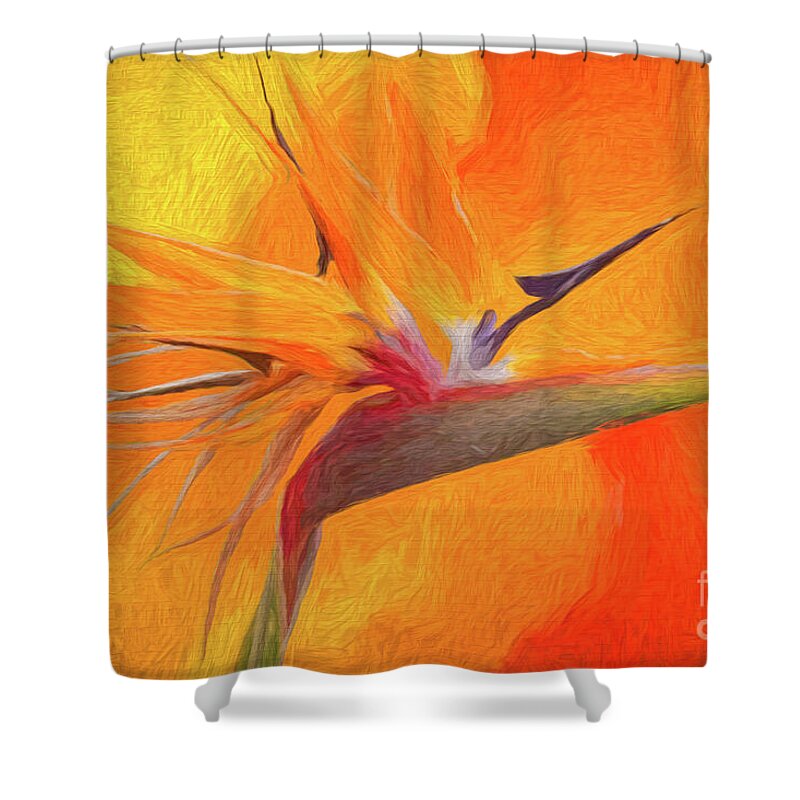Hawaniian Shower Curtain featuring the photograph Oahu Painted Floral Abstract by Diana Mary Sharpton