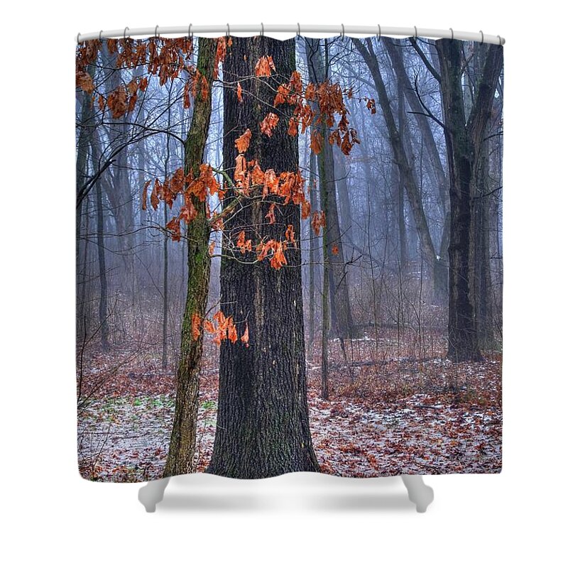 Oak Shower Curtain featuring the photograph Oak Tree in the Woods by Randy Pollard