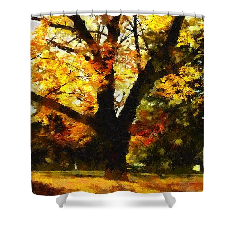 Oak Shower Curtain featuring the mixed media Oak Tree on a Fall Afternoon by Christopher Reed