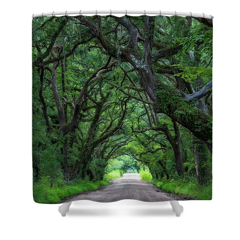Landscape Shower Curtain featuring the photograph Oak Tunnel by Chris Berrier