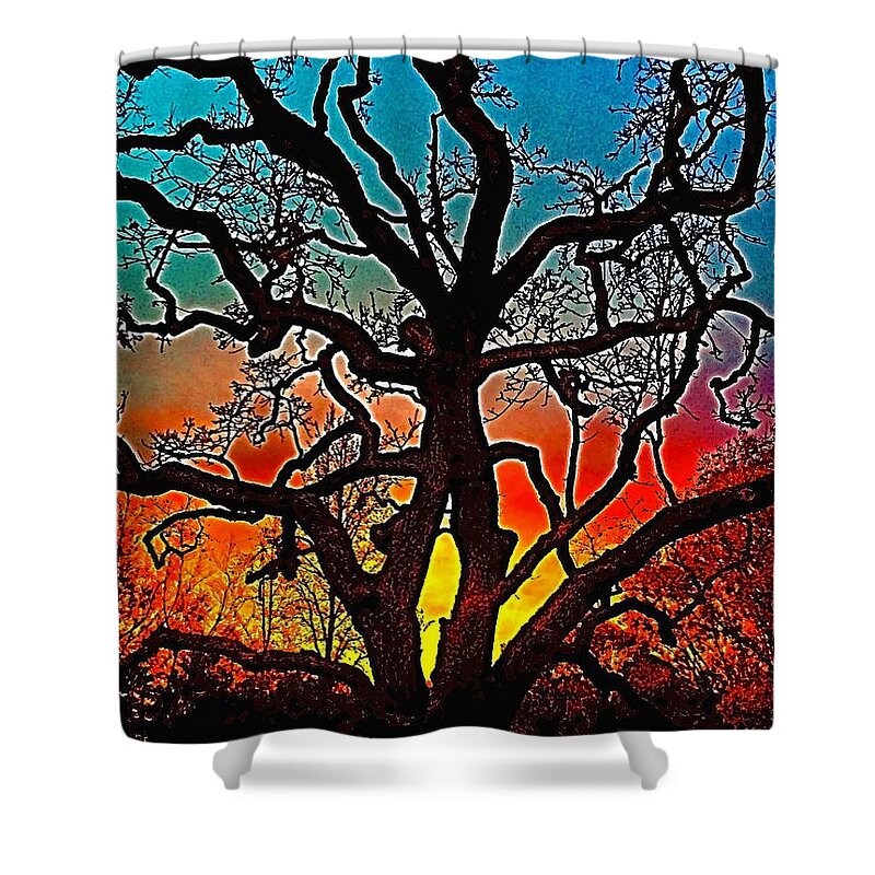 Trees Shower Curtain featuring the photograph Oaks 1 by Pamela Cooper