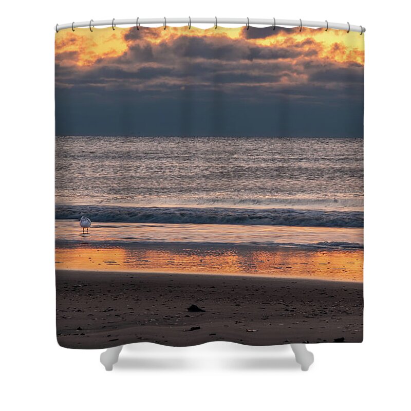 Ocean City Shower Curtain featuring the photograph Ocean City Golden Sunrise by Kristia Adams
