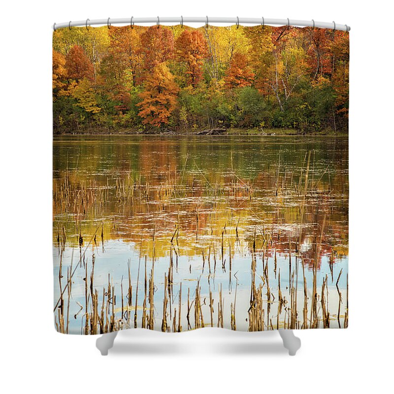 Pond Shower Curtain featuring the photograph Ochre Pond by Becqi Sherman