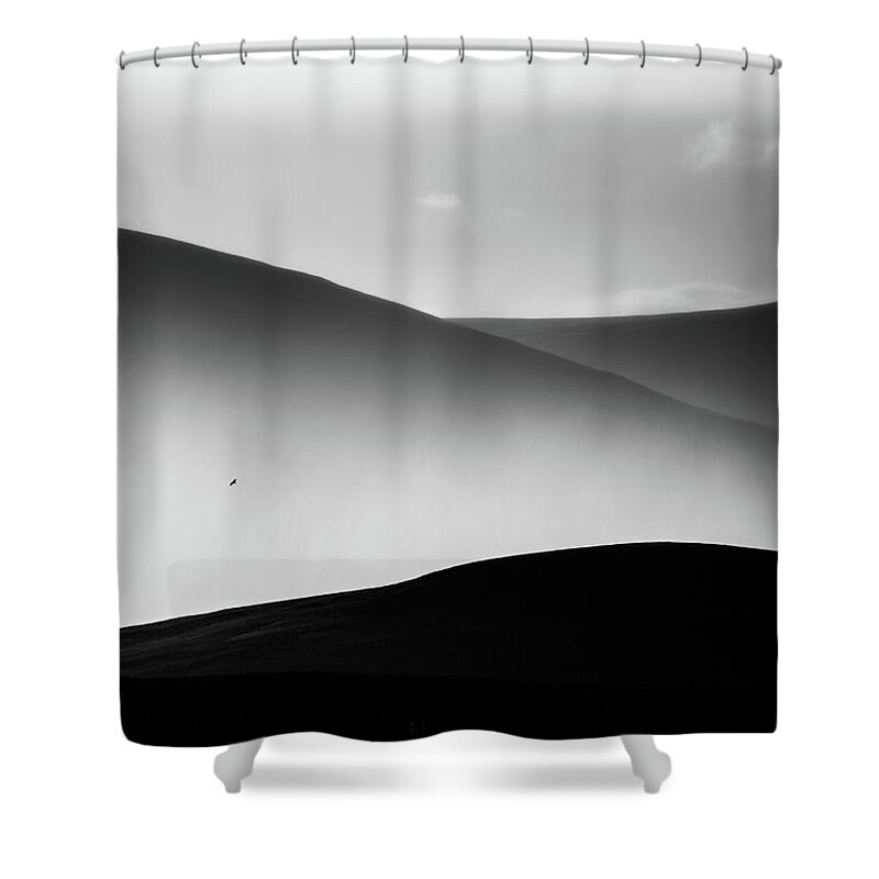 Bird Shower Curtain featuring the photograph Of hills, rain and a solitary bird by Anita Nicholson