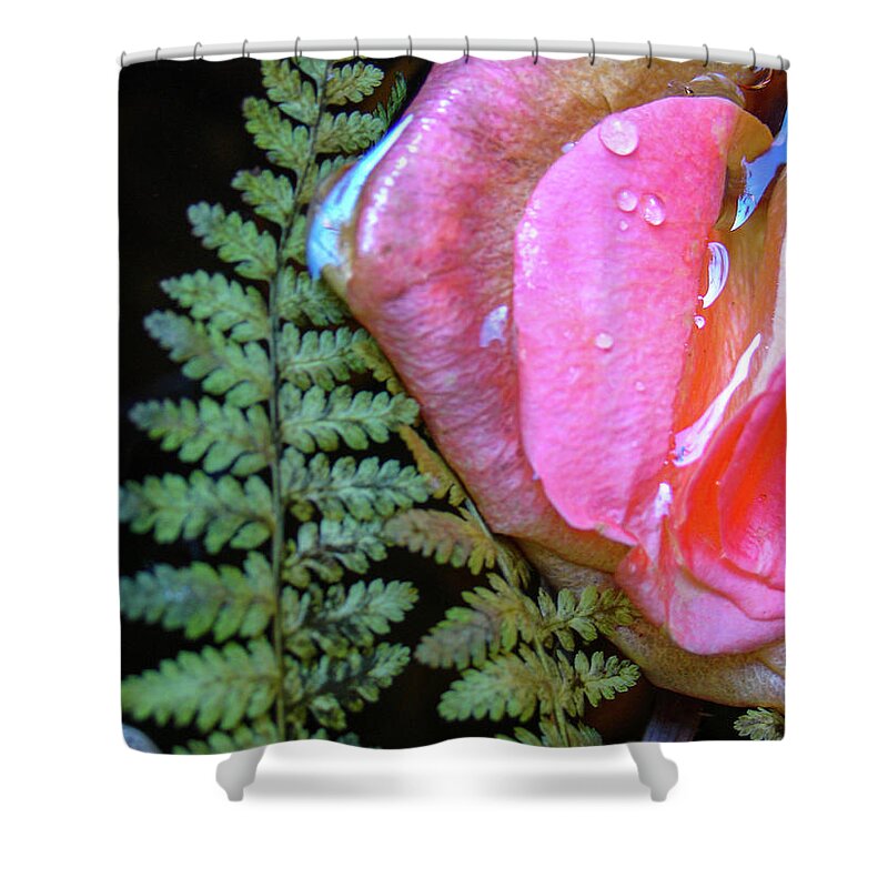 Yoga Shower Curtain featuring the photograph Offering Pond by Marian Tagliarino