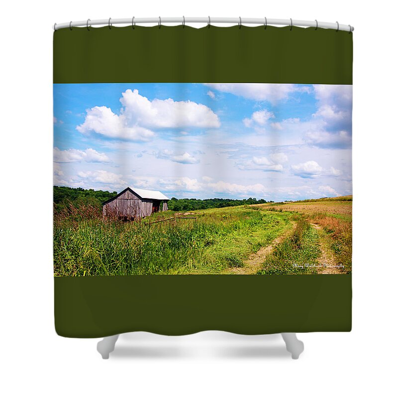 Landscape Shower Curtain featuring the photograph Ohio Country Road by Mary Walchuck