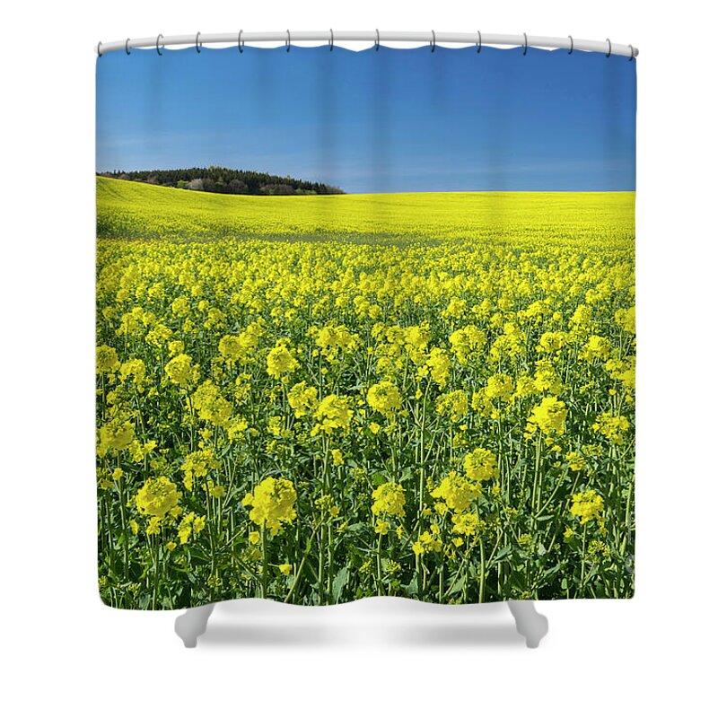 00576541 Shower Curtain featuring the photograph Oil Seed Rape Field by Willi Rolfes