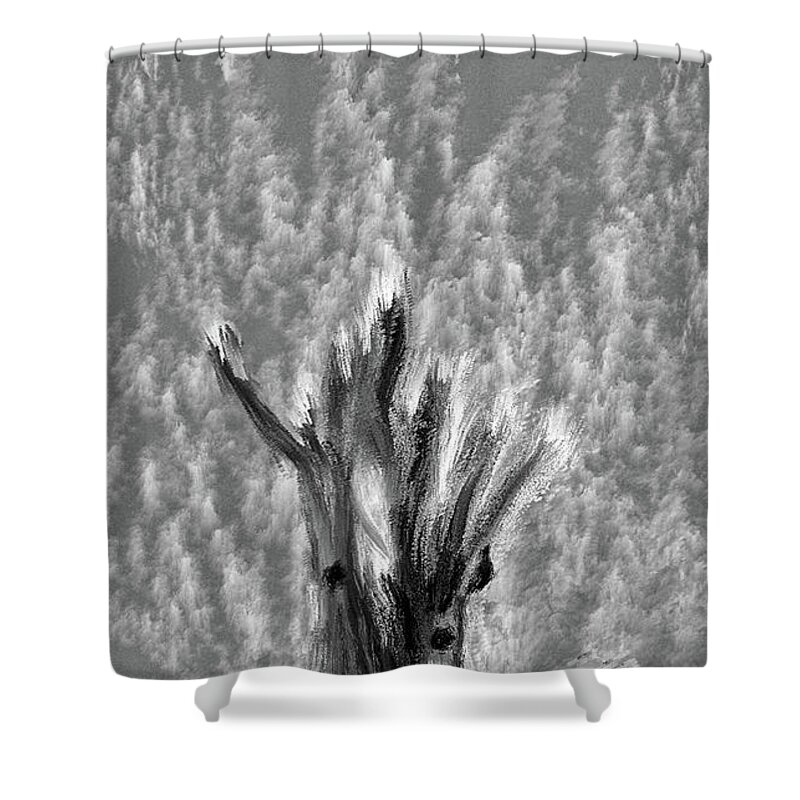 Old Shower Curtain featuring the digital art Old BW by Leif Sohlman