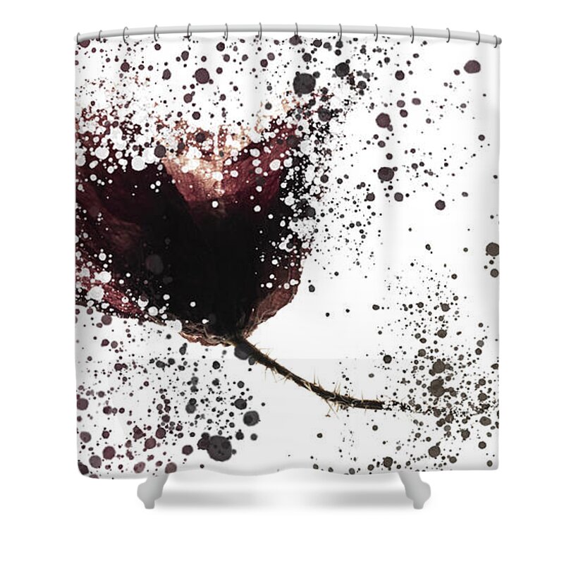 Poppy Shower Curtain featuring the photograph Old floating poppy exploded by Al Fio Bonina