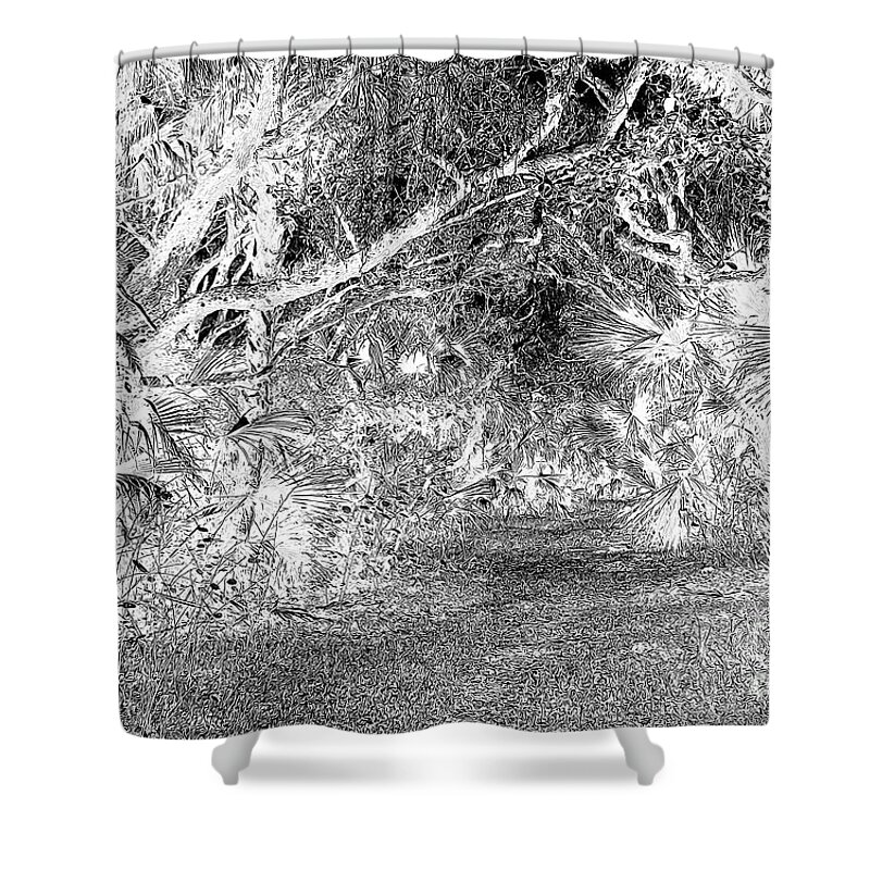 Landscape Shower Curtain featuring the drawing Old Florida Drawing 300 by Sharon Williams Eng