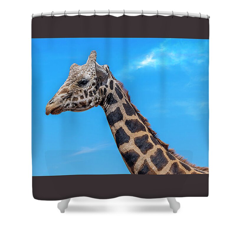  Shower Curtain featuring the photograph Old Giraffe by Al Judge