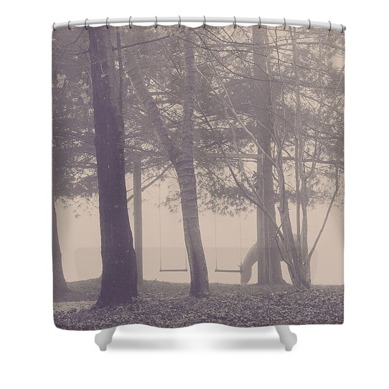 Farm Shower Curtain featuring the photograph Old Horse by the Swings by Joni Eskridge