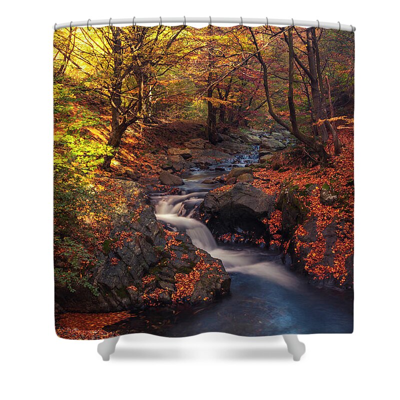 Mountain Shower Curtain featuring the photograph Old River by Evgeni Dinev