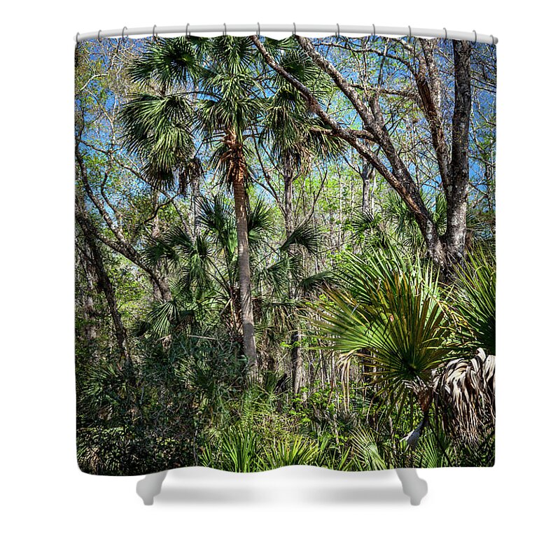 Florida Shower Curtain featuring the photograph On a Florida Hike - 3 by W Chris Fooshee