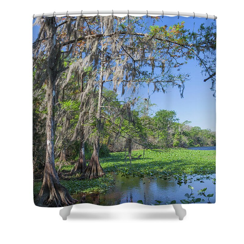 Florida Shower Curtain featuring the photograph On a Florida Hike - 4 by W Chris Fooshee
