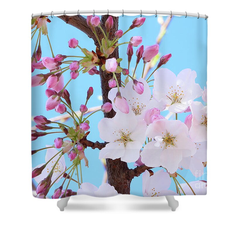 Japanese Cherry Blossom Shower Curtain featuring the photograph On A Spring Day by Scott Cameron