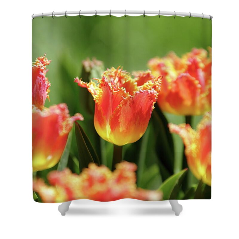 Nature Shower Curtain featuring the photograph On Fire by Lens Art Photography By Larry Trager