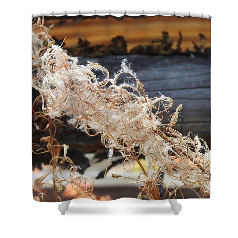 Fireweed Shower Curtain featuring the photograph On Fire by Nicola Finch