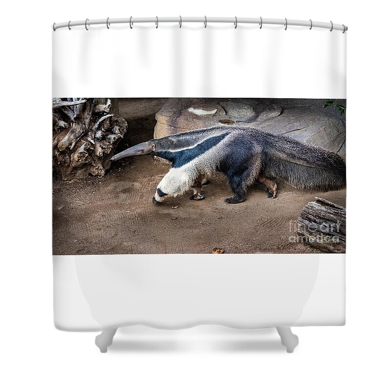 Brown Shower Curtain featuring the photograph On the Hunt by David Levin