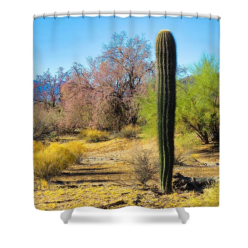Arizona Shower Curtain featuring the photograph On the Ironwood Trail by Judy Kennedy