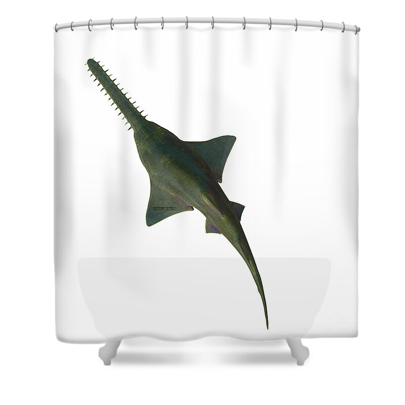 Onchopristis Sawfish Shower Curtain featuring the digital art Onchopristis Sawfish Overview by Corey Ford