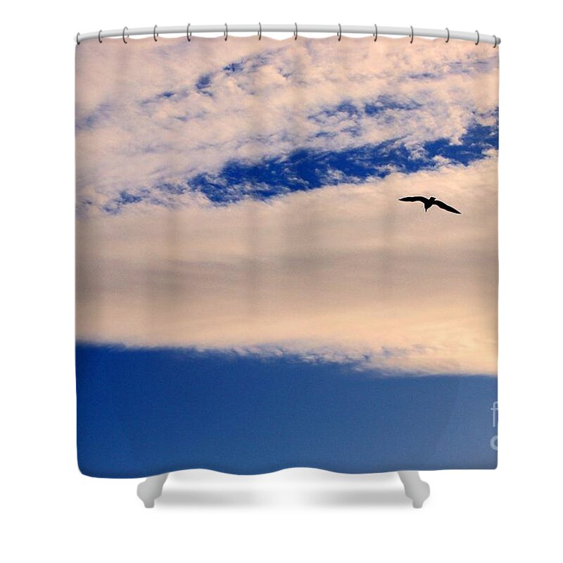 Pink Shower Curtain featuring the photograph One Bird by Kimberly Furey