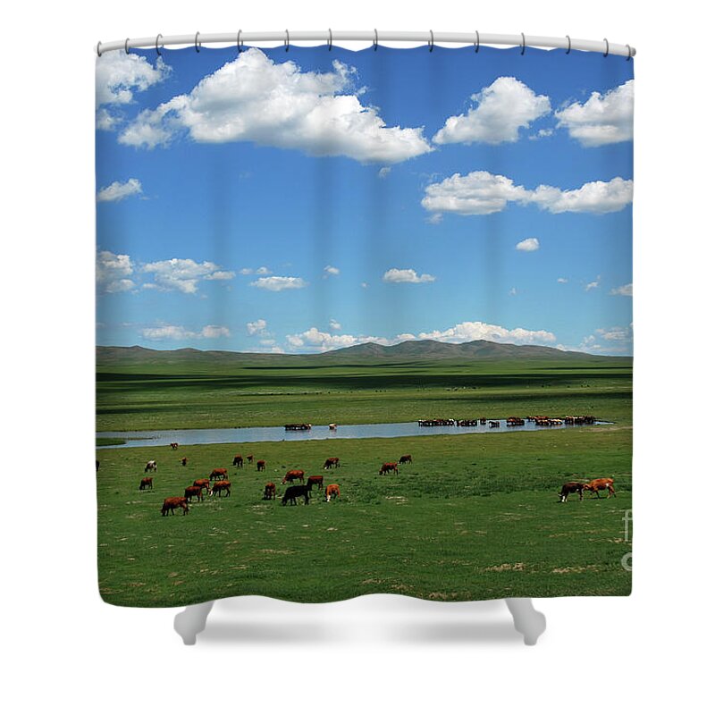 One Day Countryside Shower Curtain featuring the photograph One day Countryside by Elbegzaya Lkhagvasuren