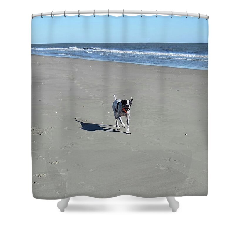 Dog Shower Curtain featuring the photograph One Happy Dog by Roberta Byram