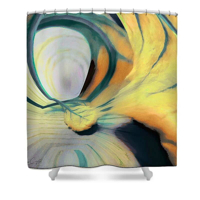 Leaf Shower Curtain featuring the photograph One Wild And Crazy Leaf by Rene Crystal