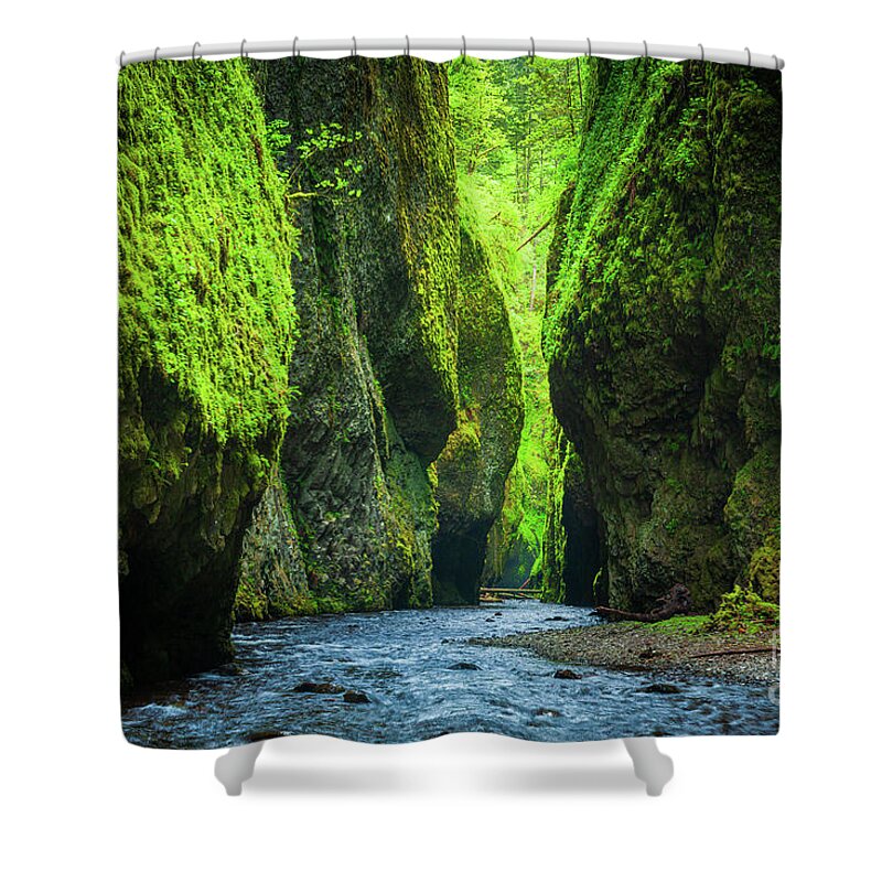 America Shower Curtain featuring the photograph Oneonta Chasm by Inge Johnsson