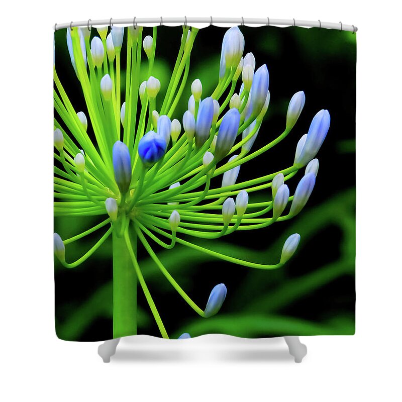 Flower Shower Curtain featuring the photograph Open Up by Gena Herro