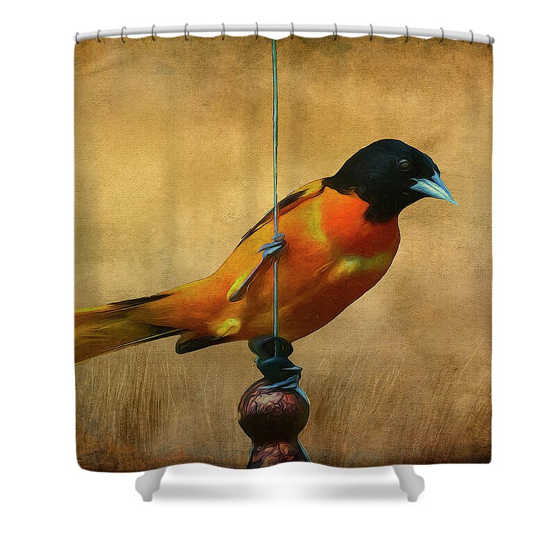 Songbird Shower Curtain featuring the photograph Orange Bird by Cathy Kovarik