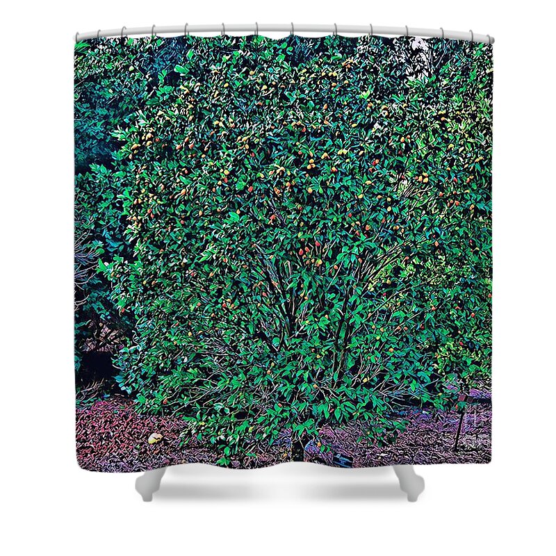 Oranges Shower Curtain featuring the photograph Orange Orchid by Joe Roache