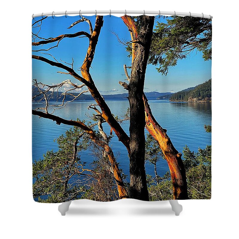 Madrone Tree Shower Curtain featuring the photograph Orcas Island Madrone by Jerry Abbott