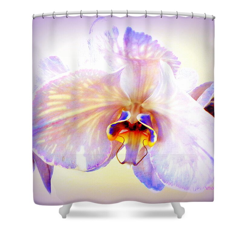 Purple Shower Curtain featuring the photograph Orchid-beautiful 23 by VIVA Anderson