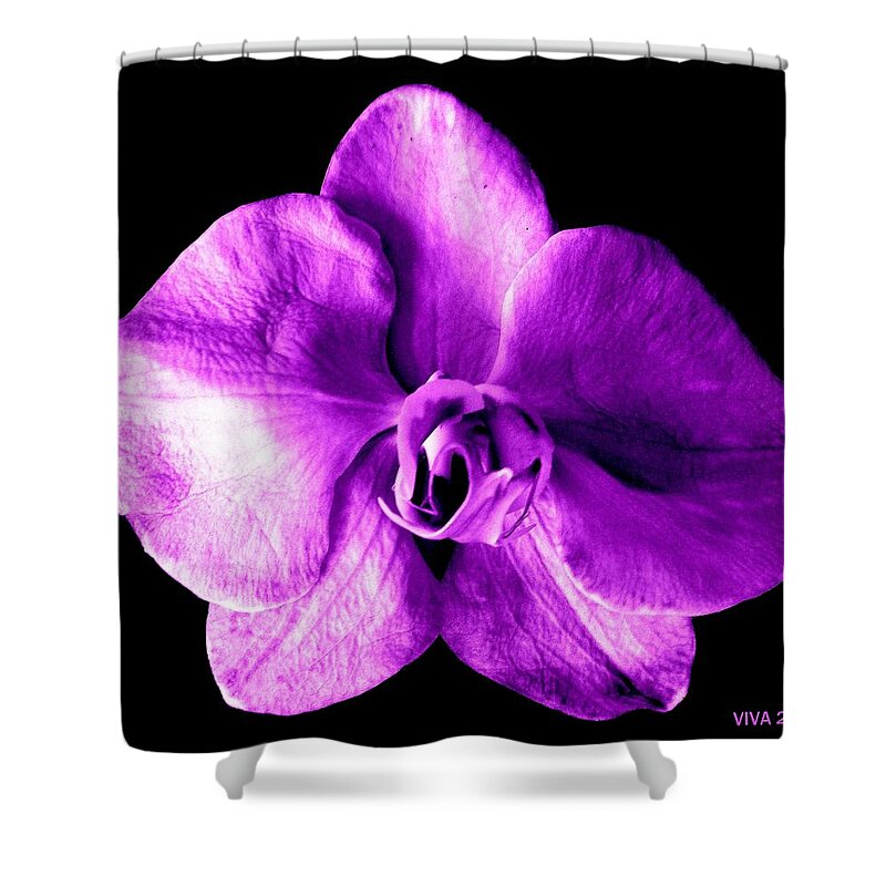 Orchid Shower Curtain featuring the photograph Orchid - The Queen-Purple by VIVA Anderson