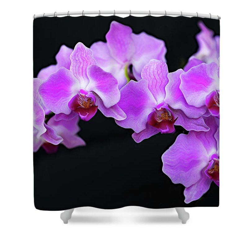 Flower Shower Curtain featuring the photograph Orchid wave by Gina Fitzhugh