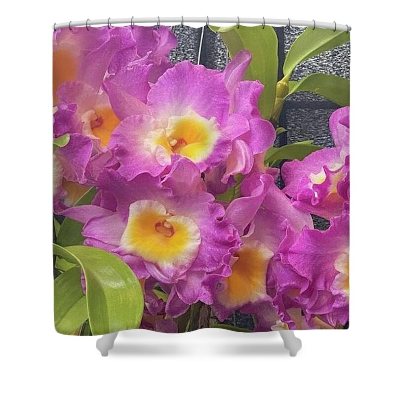 Orchid Shower Curtain featuring the photograph Orchid_2106 by Pour Your heART Out Artworks