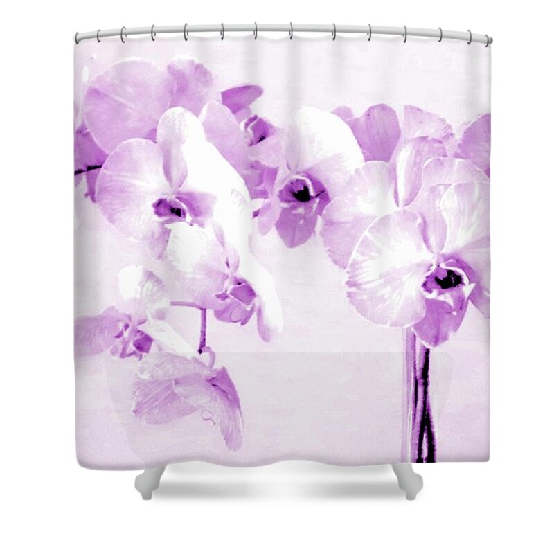 Purple Shower Curtain featuring the photograph Orchids 22 - Viva by VIVA Anderson