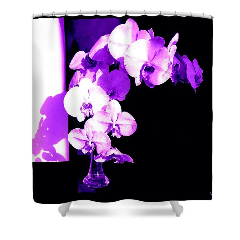 Orchids-purple Shower Curtain featuring the photograph Orchids-Purple-Sunshine-Shadows by VIVA Anderson