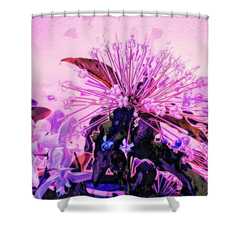 Orchids Shower Curtain featuring the photograph Orchidstra by Jim Signorelli