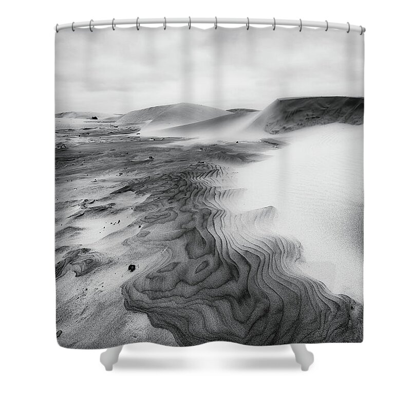 Beach Shower Curtain featuring the photograph Oregon Dunes by Ryan Manuel