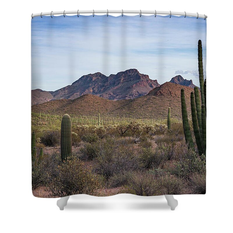 Desert Southwest Shower Curtain featuring the photograph Organ Pipe Cactus National Monument by Jeff Hubbard